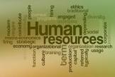 Hr Training Consultancy Services