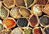 Hybrid Vegetable Seeds