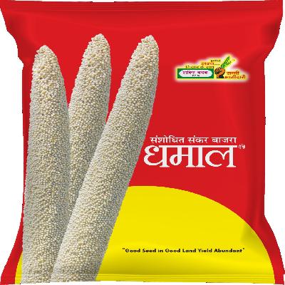 Hybrid Bajra Seed