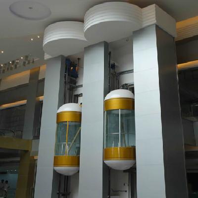 Hydraulic Capsule Elevator