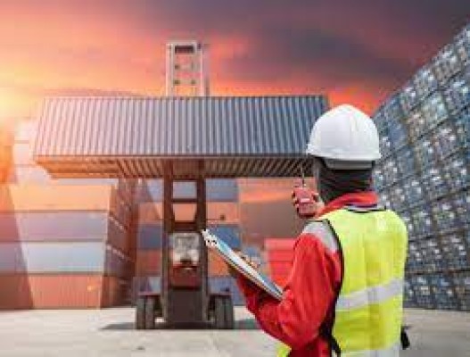 Import Clearance Services