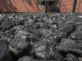 Indigenous Coal