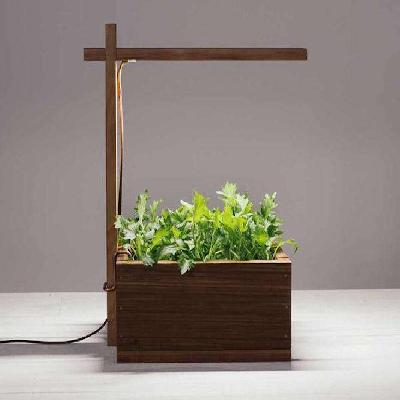 Indoor Light Boxes