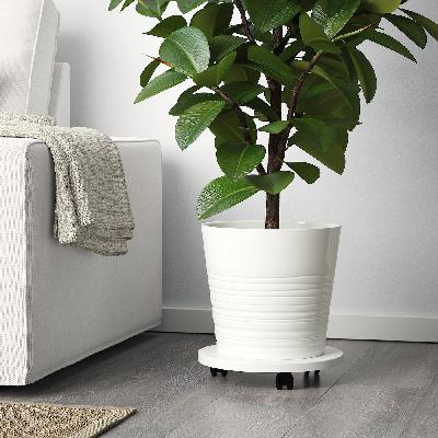 Indoor Pots