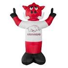 Inflatable Mascot