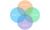 Innovation Management