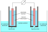 Ion Selective Electrodes