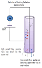 Ionization Detectors