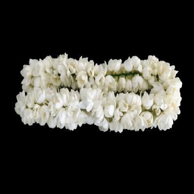Jasmine String