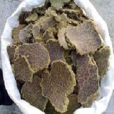 Jatropha Cake