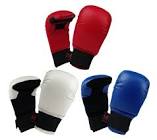 Karate Gloves