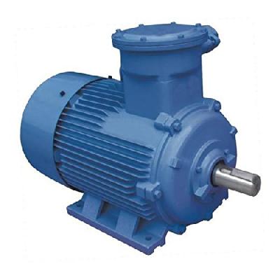 Kirloskar Electric Motor