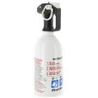 Kitchen Fire Extinguisher