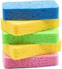 Kitchen Sponge