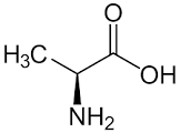 L Alanine