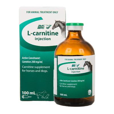 L Carnitine Injection 