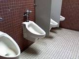 Ladies Urinals