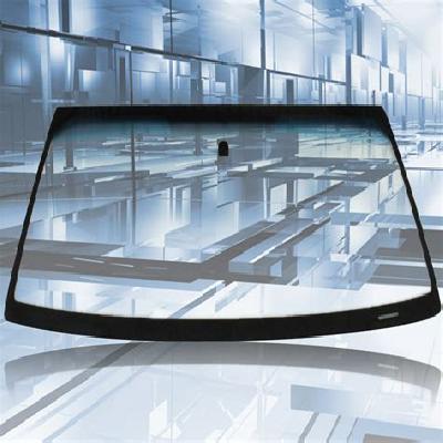 Laminated Windshield