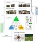 Land Consolidation Services