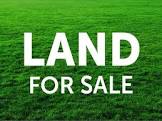 Land Dealing