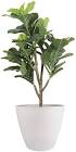 Large Planter