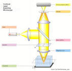 Laser Microscope