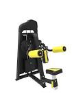 Lateral Raise Machine