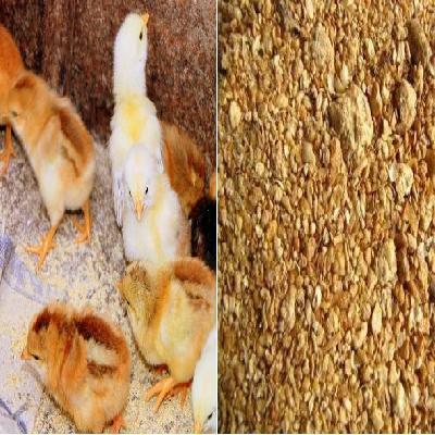 Layer Chicken Feed