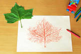 Leaf Impression Paper