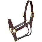 Leather Halters