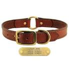 Leather Pet Collar