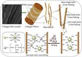 Leather Tanning Chemical