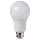 LED Bulb