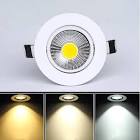LED Downlight