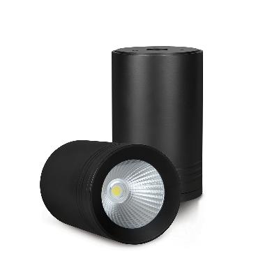 LED COB Light