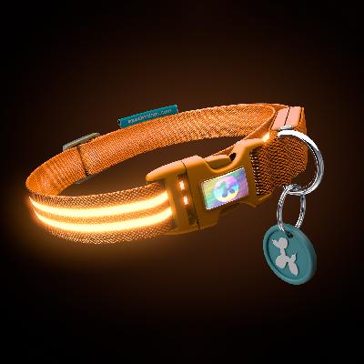 LED Dog Collar 