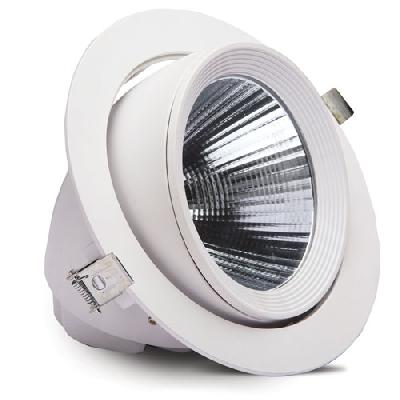 LED Zoom Light