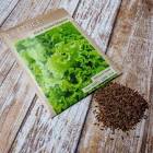 Lettuce Seeds