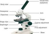Light Microscope