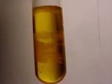 Liquid Sulphur