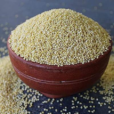 Little Millet