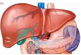 Liver Problem Treatment Services