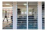 Louver Windows