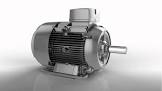 Low Voltage Motors