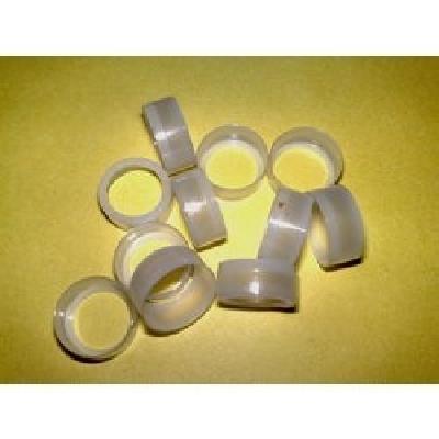 Magnet Bush