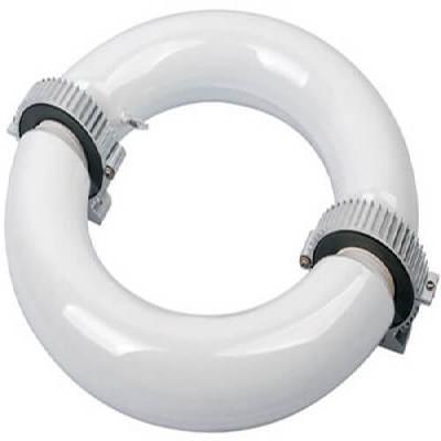 Magnetic Induction Lamp