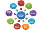 Management Information Services