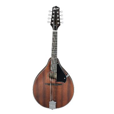 Mandolin