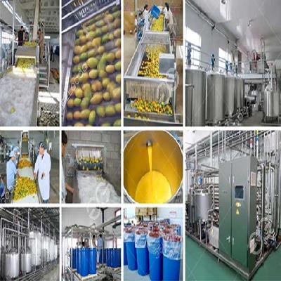 Mango Pulp Processing Plant 