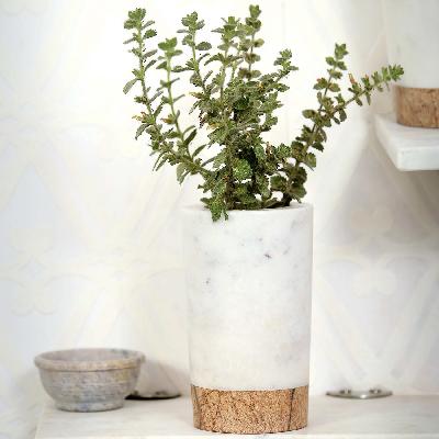 Marble Planter